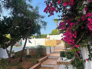 A garden with a stone pathway, a white wall, and a tree with pink flowers.