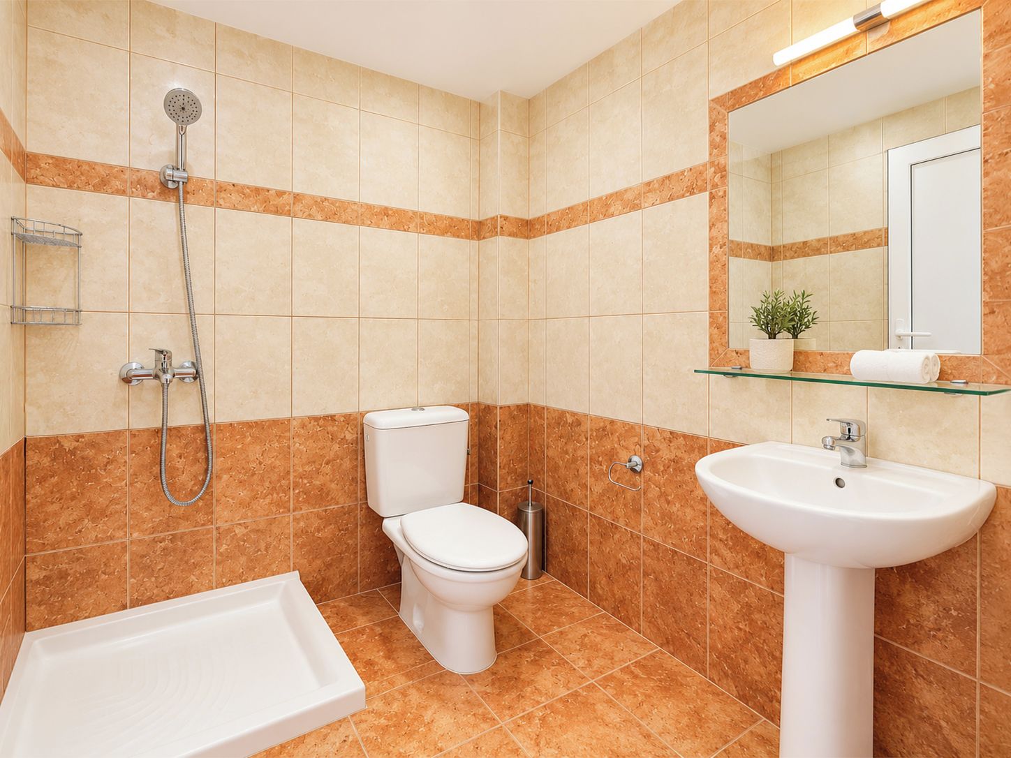 A bathroom with a shower, toilet, sink, and a glass shelf with a plant.