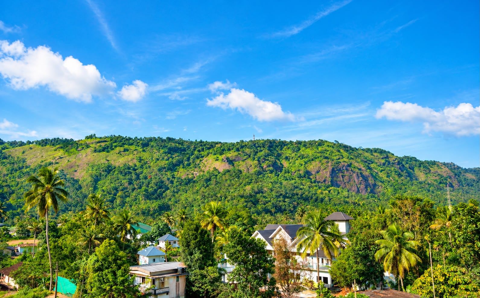 Un paisaje tropical con una colina, palmeras y edificios residenciales.