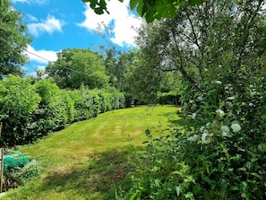 A lush green hillside with dense foliage and a clear sky.