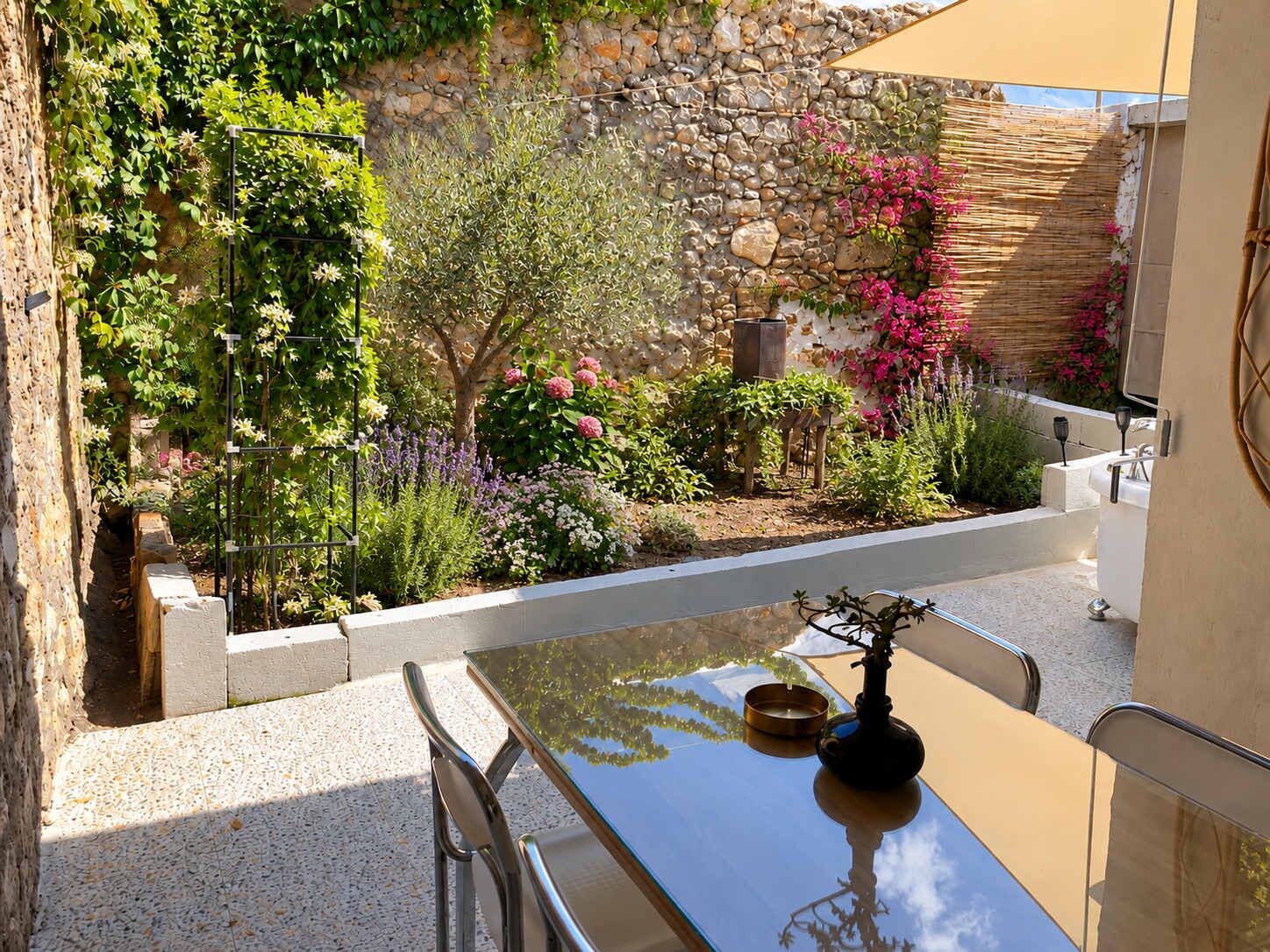 A patio with a glass table, chairs, and a small plant.