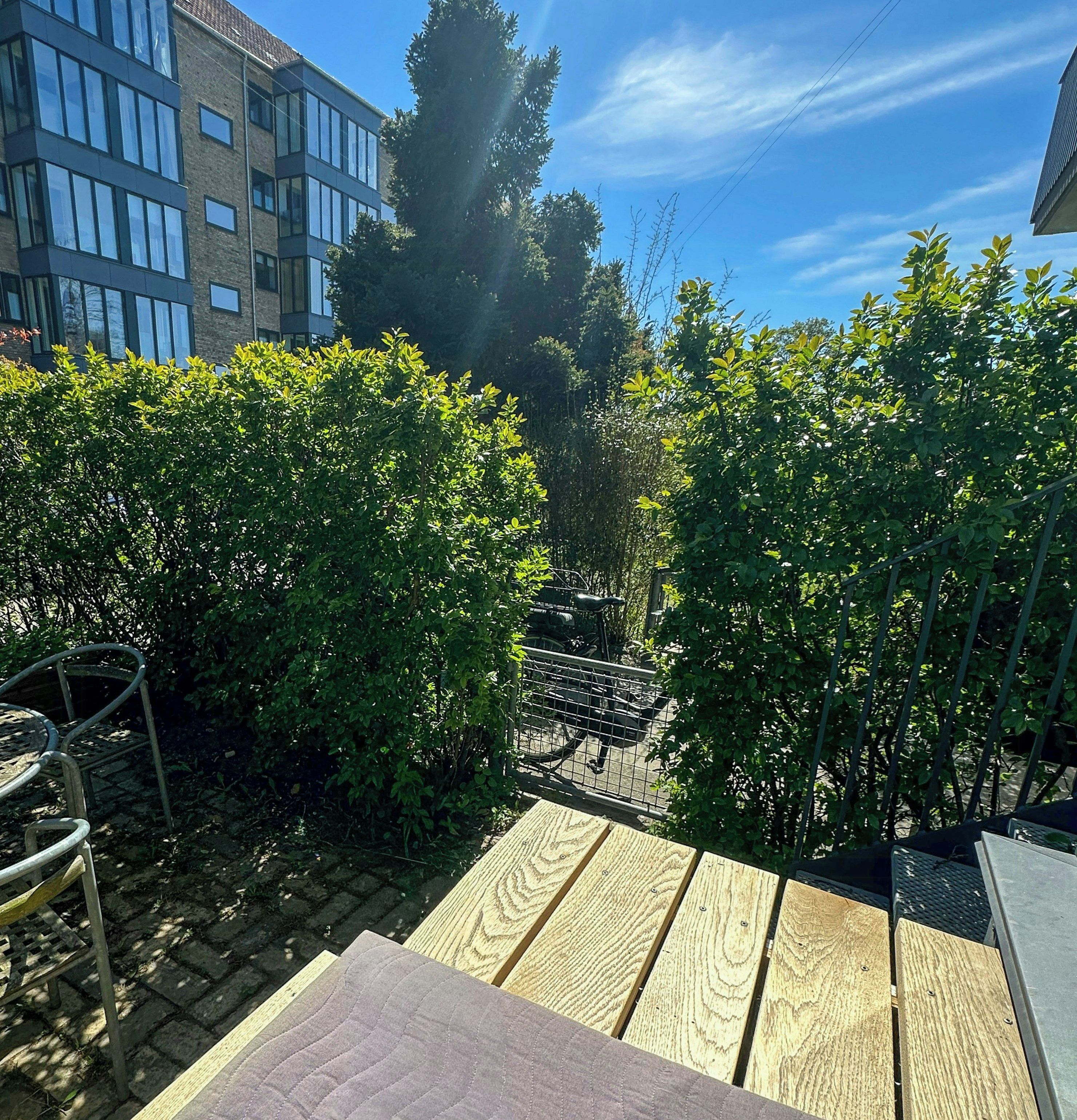 A wooden deck with a metal fence, surrounded by lush green bushes and trees.