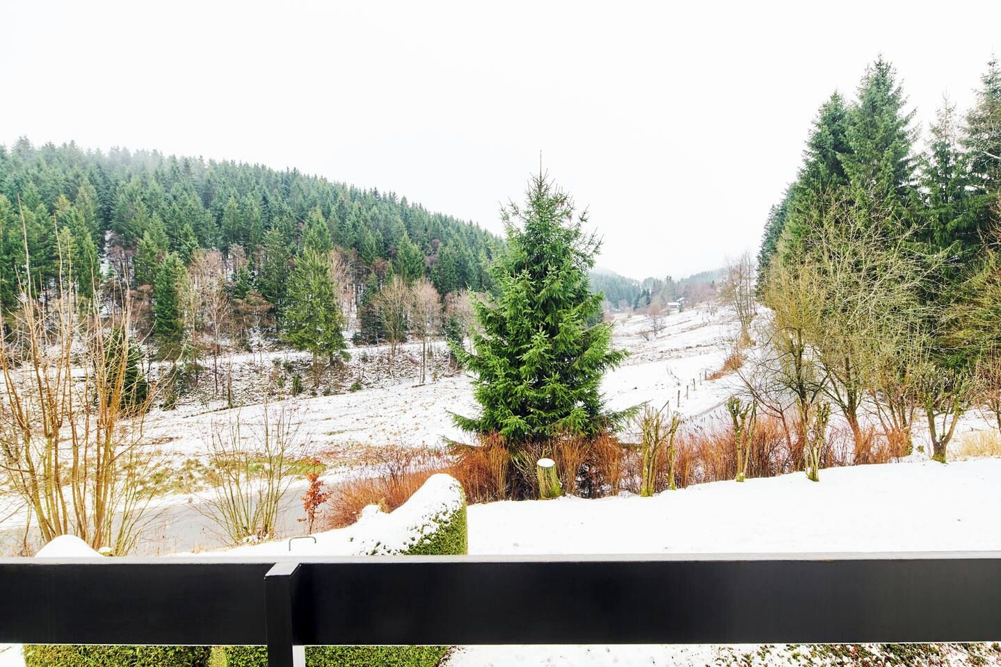 A snowy landscape with a forested hill in the background and a black fence in the foreground.