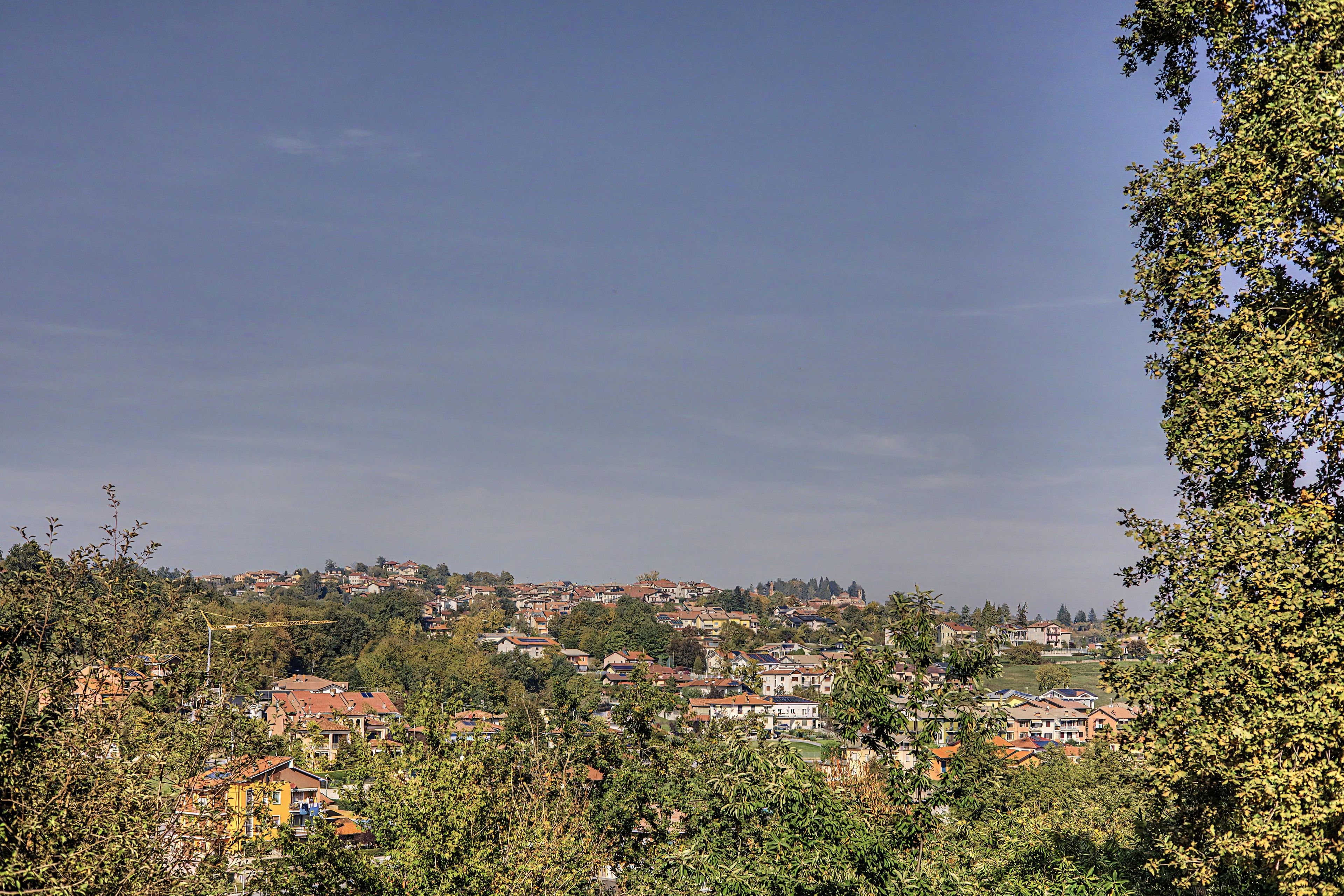 A residential area with houses on a hillside, surrounded by trees.