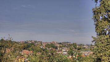 A residential area with houses on a hillside, surrounded by trees.