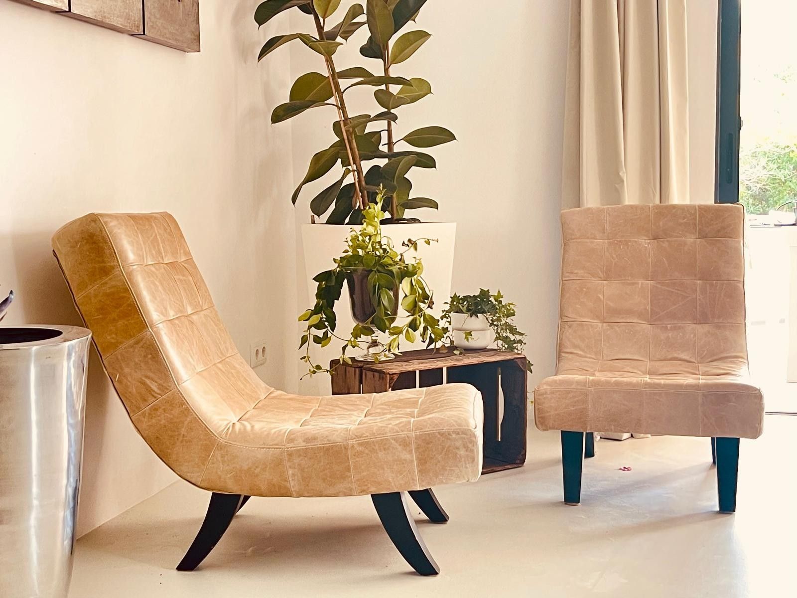 Una habitación con dos sillones de cuero, una planta en maceta y una mesita.