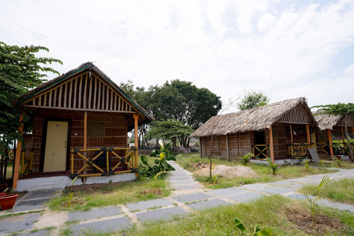 A row of thatched-roof huts with a paved walkway between them.