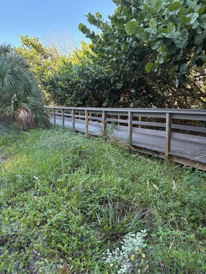 A wooden bridge over a grassy area with dense foliage and trees in the background. - Spacious Beachfront 2/2 condo for Sanding Ovations, Thanksgiving! (Treasure Island)
