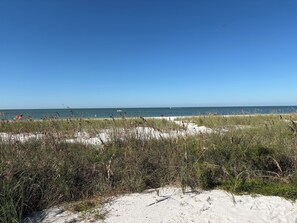A beach with sand dunes and sparse vegetation. - Spacious Beachfront 2/2 condo for Sanding Ovations, Thanksgiving! (Treasure Island)