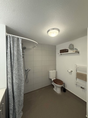 Une salle de bain avec douche, toilettes et une étagère contenant des articles de toilette.