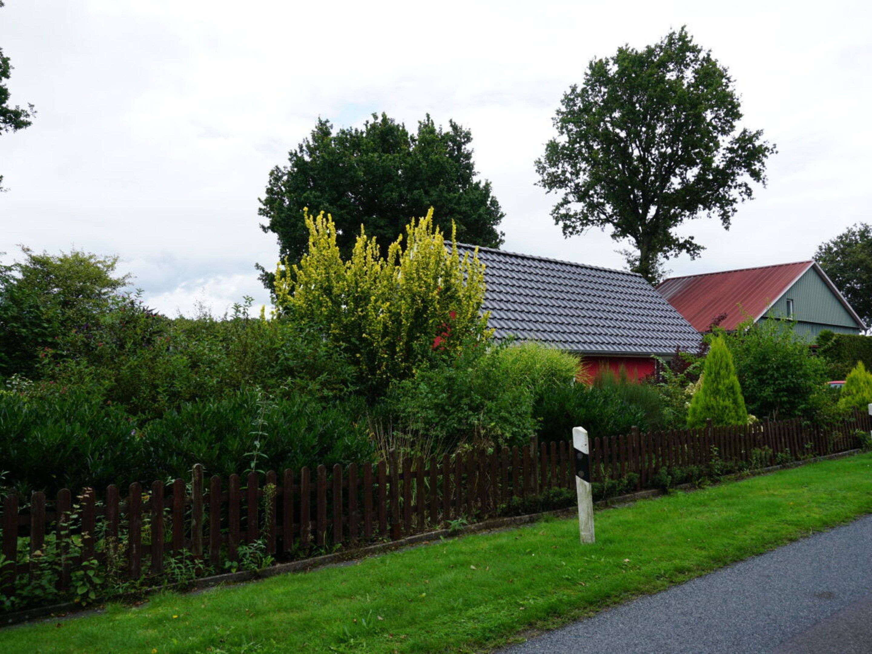 A rural house with a red roof, surrounded by dense greenery and a wooden fence.