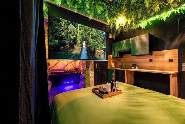 A room with a bed, a wooden shelf with a bottle, and a wall-mounted TV displaying a forest scene. - New Listing (Palavas-les-Flots)