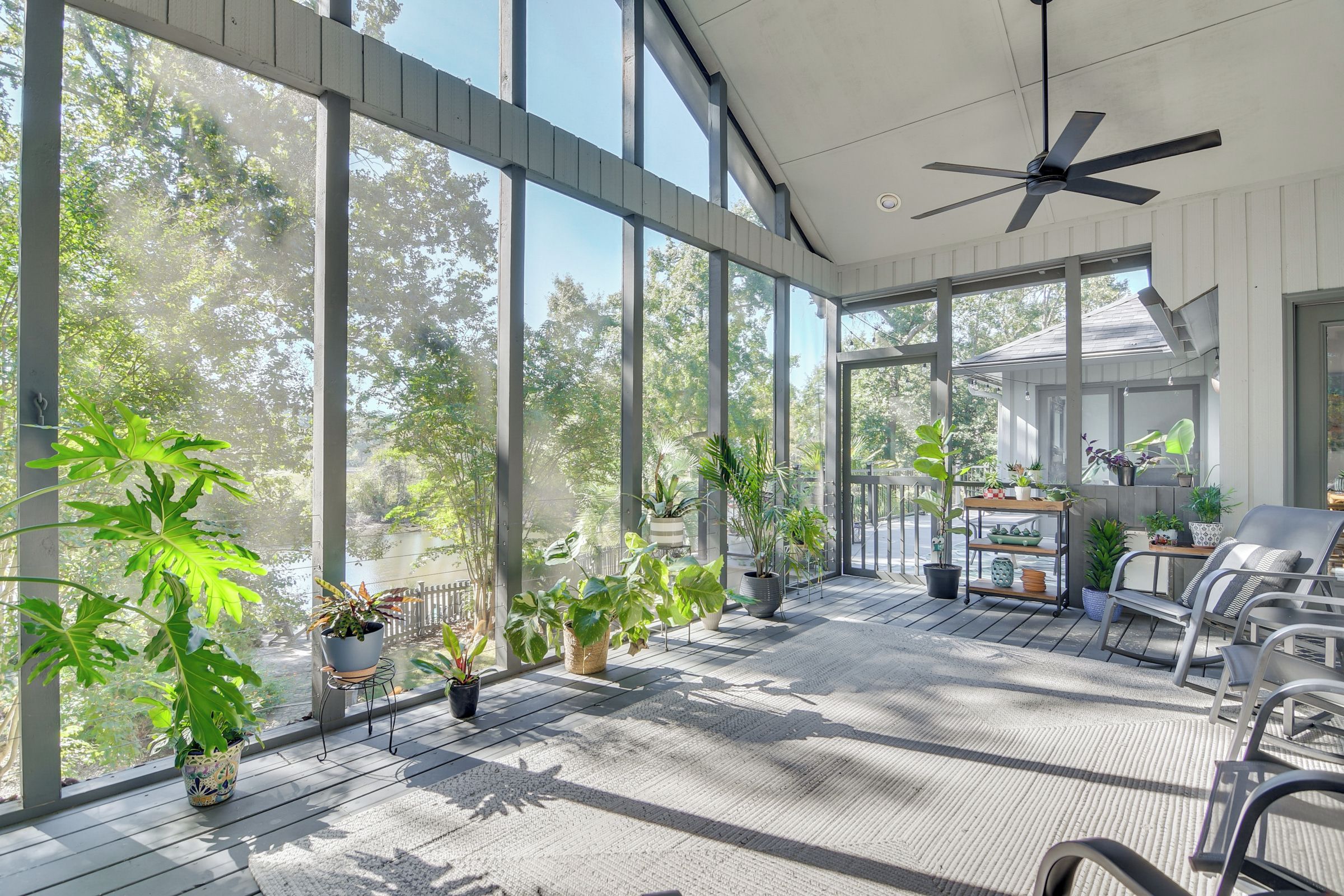 A sunlit room with large windows, a ceiling fan, and a variety of potted plants.