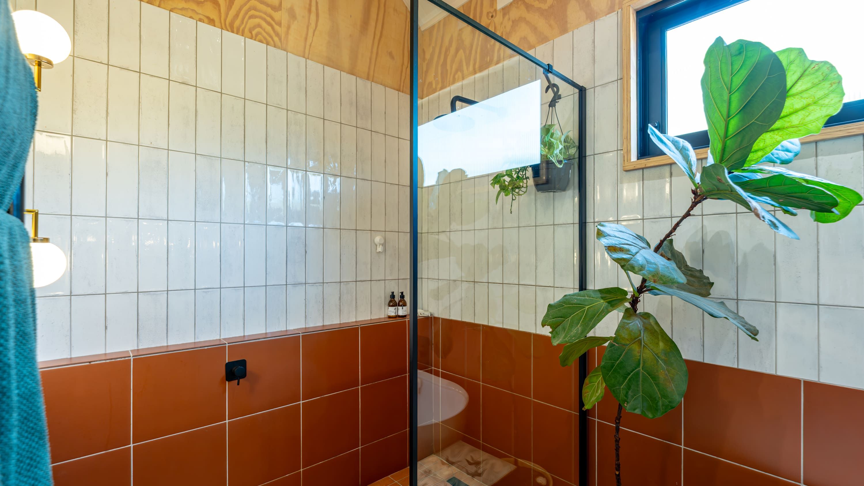 A bathroom with white and brown tiles, a glass shower enclosure, a hanging plant, and a window with a view.
