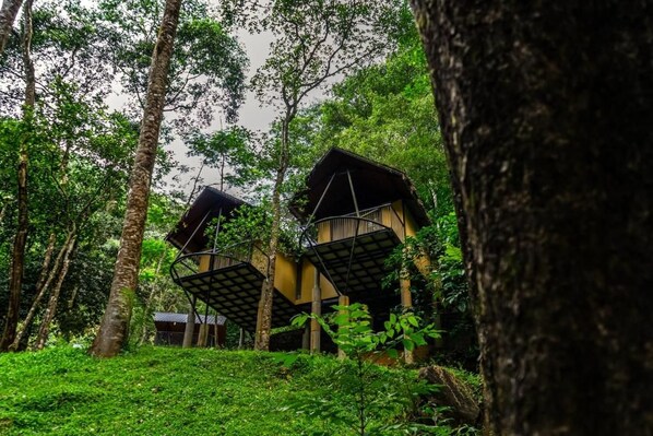 A treehouse structure with a wooden exterior and a metal roof, surrounded by dense forest.