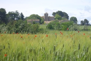 Paisaje rural con un campo de hierba alta y flores rojas dispersas, un edificio de piedra con una torre y árboles al fondo.