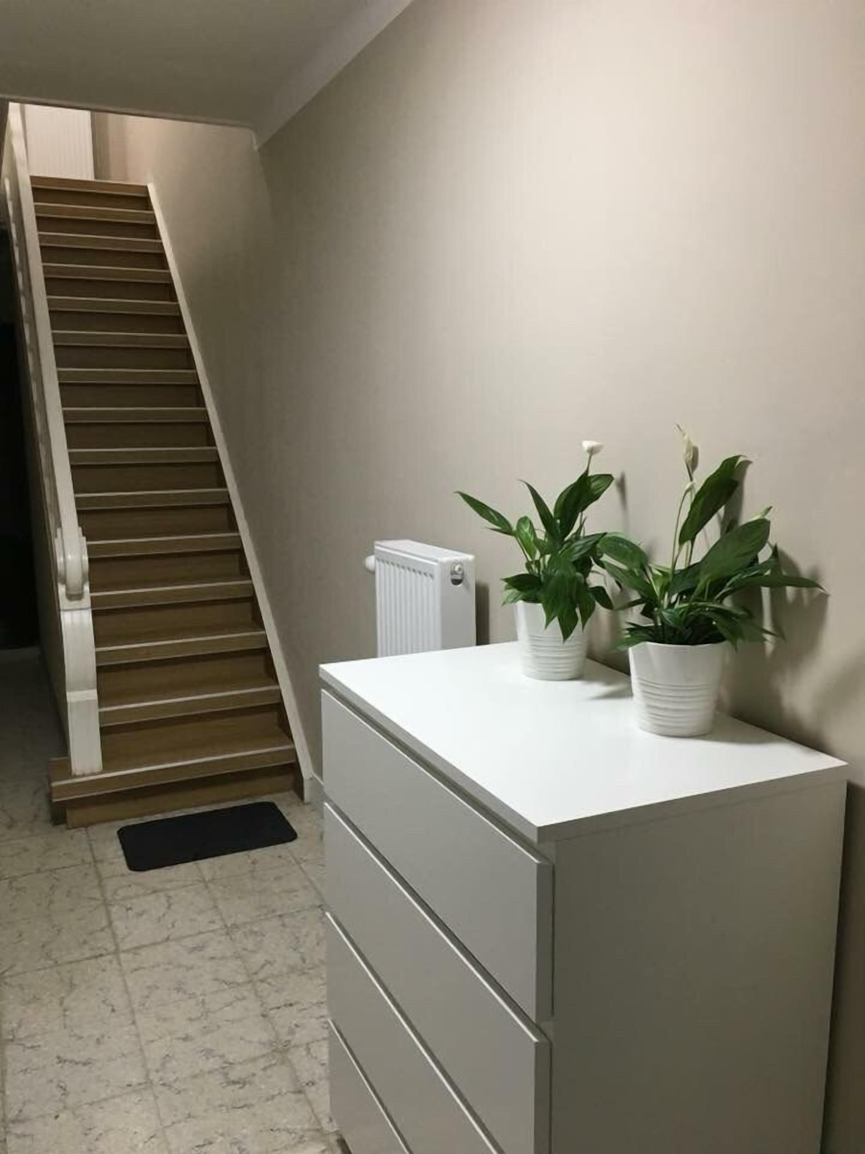 Una escalera que sube a una plataforma, un radiador y una encimera blanca con dos plantas en macetas.