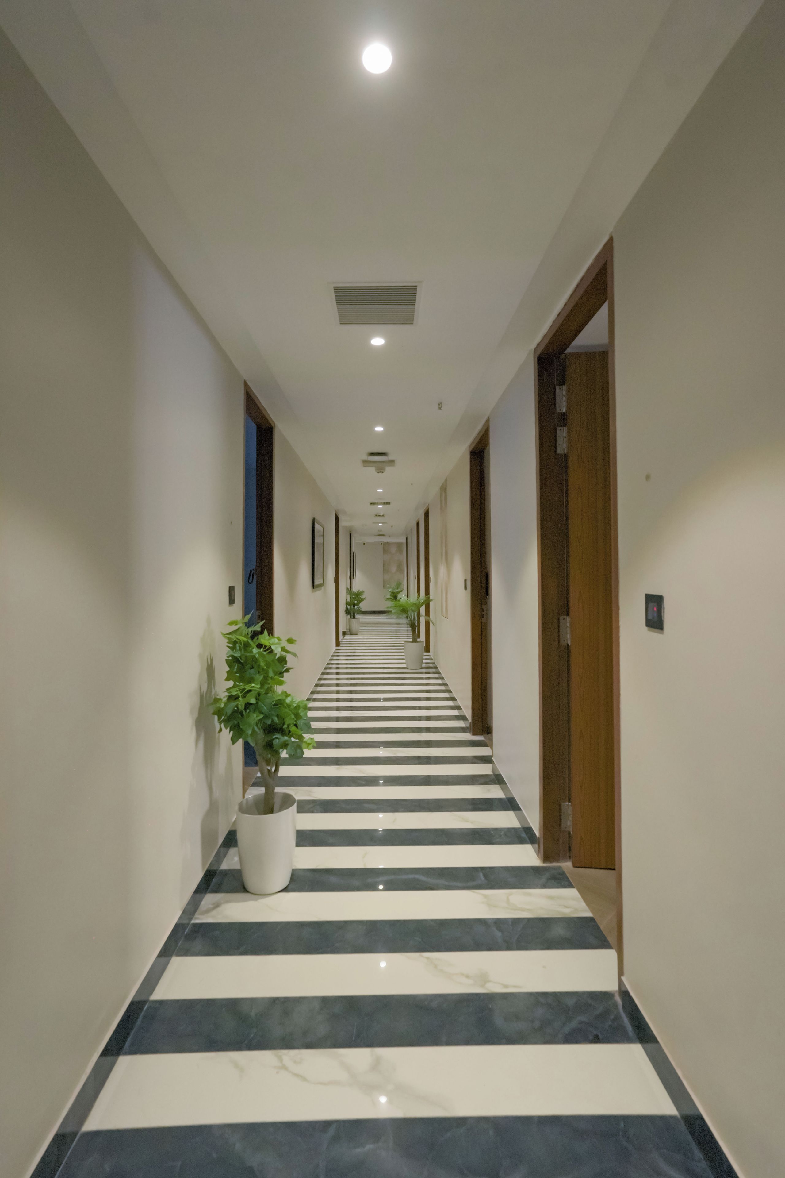 Un pasillo de hotel con piso a rayas, puertas a ambos lados y plantas en macetas.