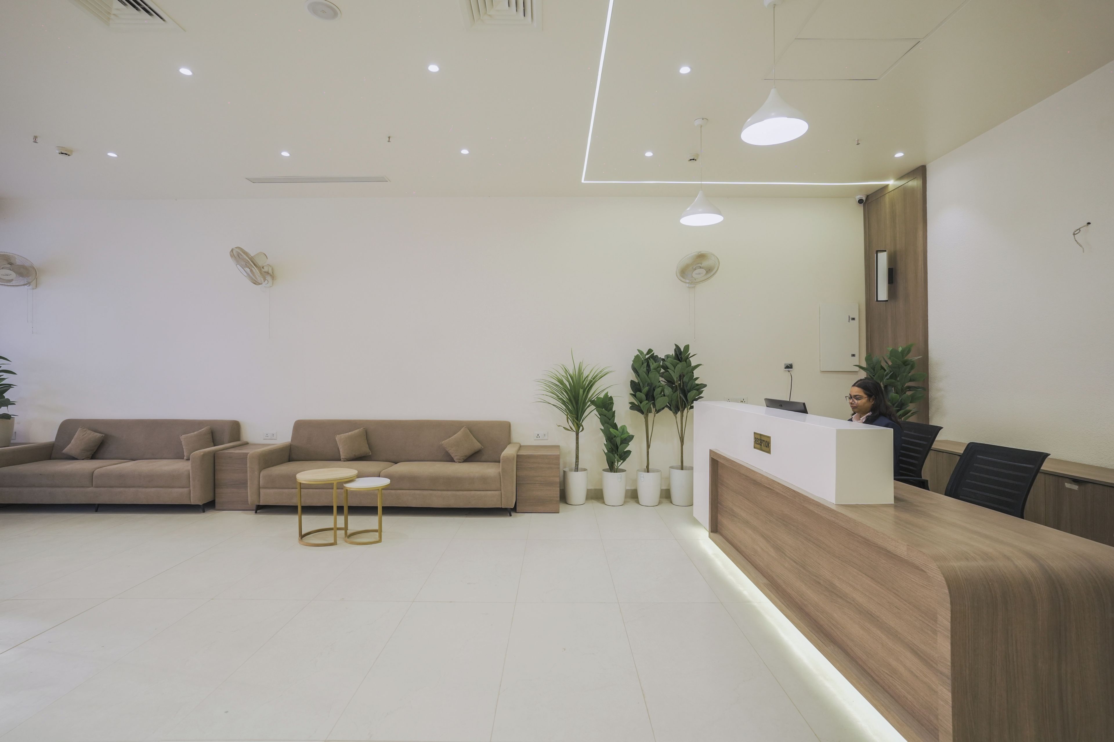 Un área de recepción con un mostrador de madera, dos sofás, una mesita y plantas en macetas.