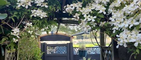 A pathway leading to a gated entrance with a decorative gate and a small covered area.