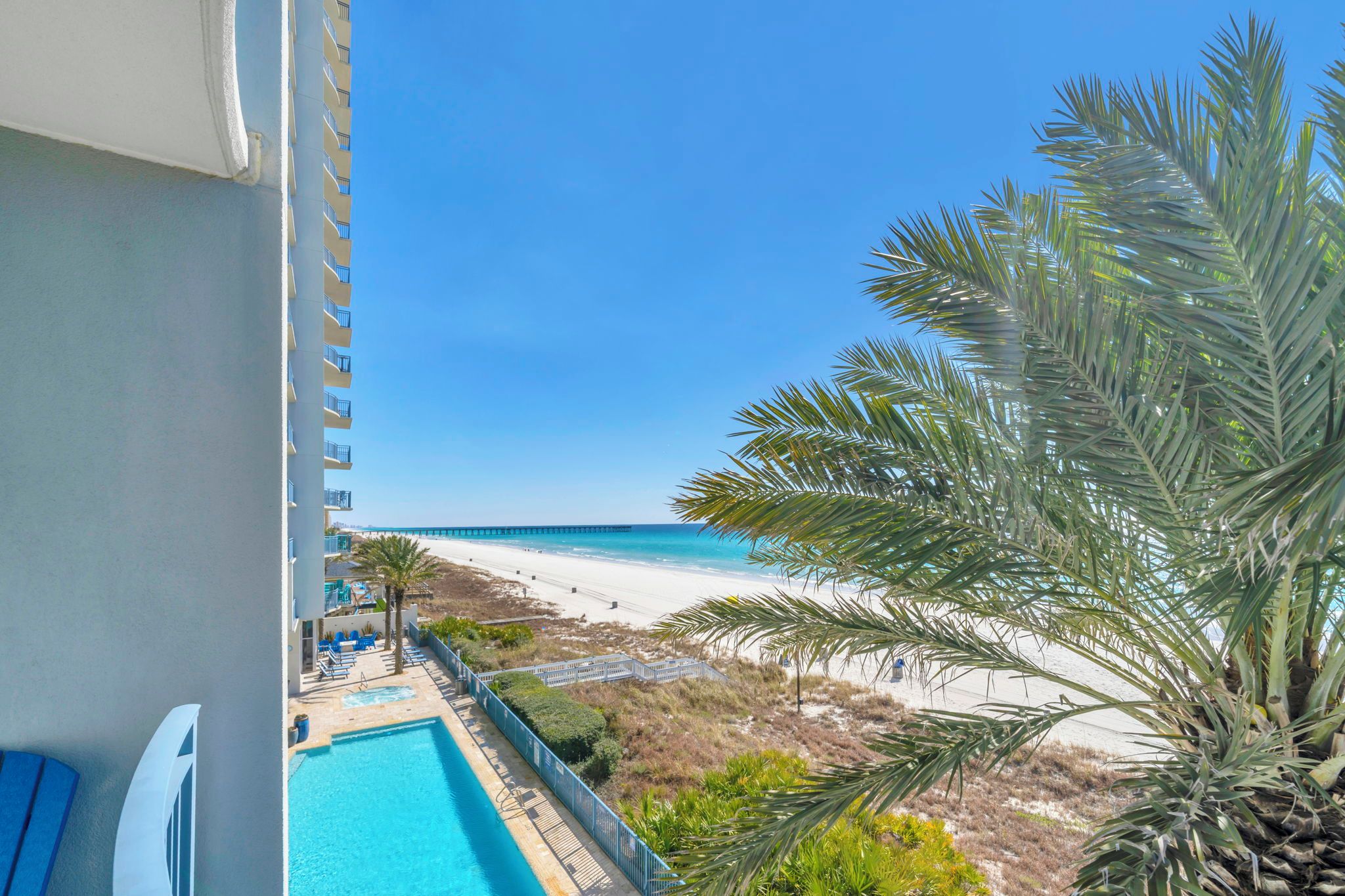 A balcony with a view of a beach, a pool, and a palm tree.