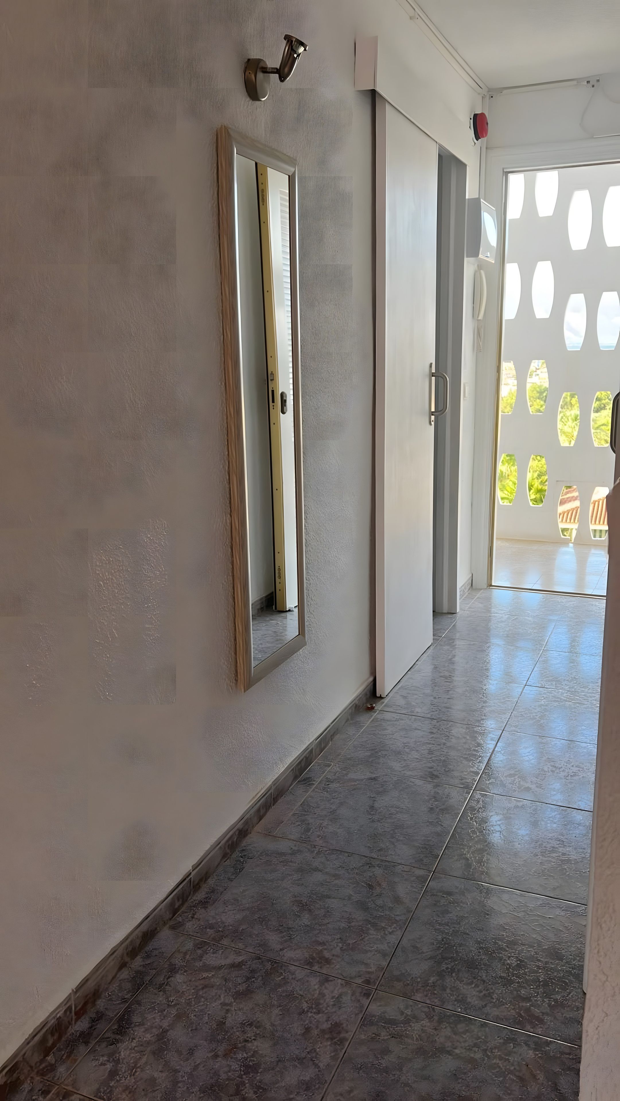 Un passadís amb un mirall, una porta i vista a un jardí a través d'una porta de vidre amb dibuixos.