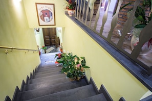 Una escalera con barandilla, plantas en macetas y un cuadro en la pared.