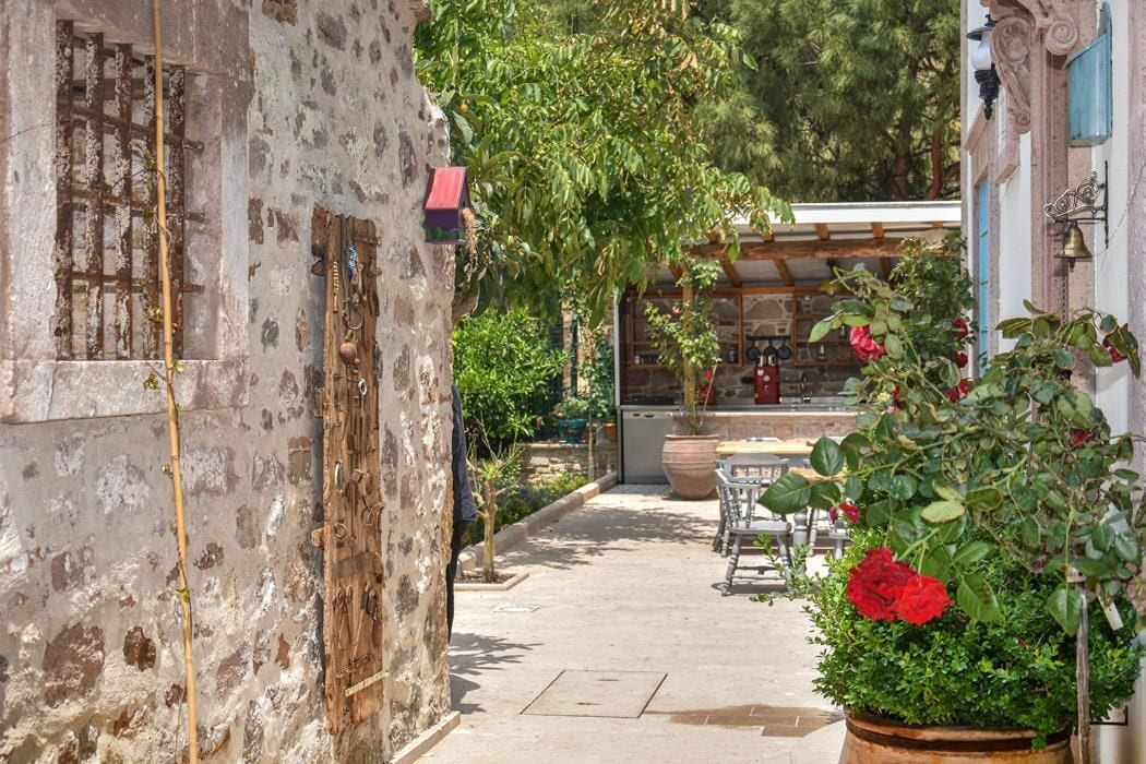 Une ruelle étroite, avec un mur de pierre, une porte en bois et un pot de fleurs orné de fleurs rouges.