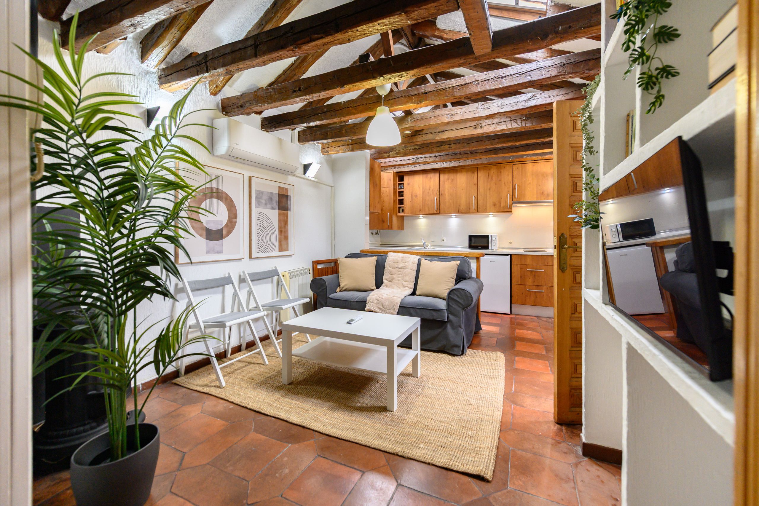 A modern living room with a sofa, coffee table, and chairs, a kitchen with wooden cabinets, and a large plant.