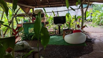 A covered outdoor area with a television, a bean bag, and various plants.