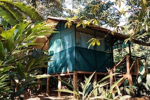 Una estructura de madera con techo de lona azul, rodeada de abundante follaje.