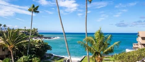A coastal view with palm trees and a clear sky.