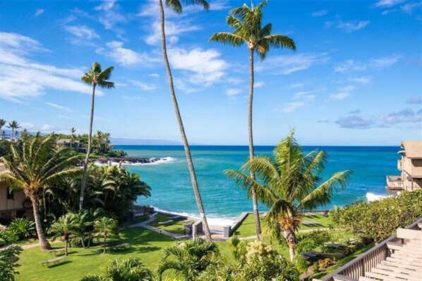 A coastal view with palm trees and a clear sky.