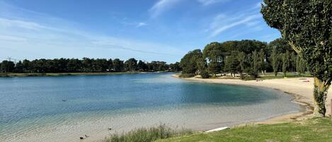 A lakeside view with a sandy beach, grassy areas, and trees.