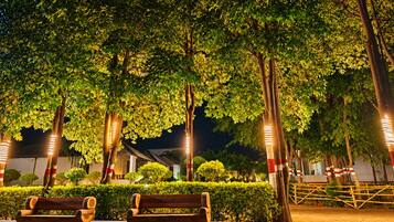 A nighttime outdoor area with benches, trees, and illuminated poles.