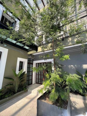 An indoor courtyard with a central tree, surrounded by walls and a glass ceiling.