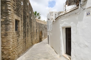 Un estrecho callejón empedrado flanqueado por edificios históricos con puertas arqueadas y pequeñas ventanas.