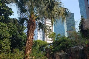 Una palmera alta en una zona enjardinada, amb edificis moderns al fons.
