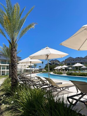 Zona de piscina amb gandules i ombrelles, una palmera i un cel blau clar.