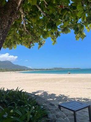 A beach with a clear view of the ocean, a sandy area, and a wooden bench. - 1BR Penthouse - Private Beach, Pool & Ocean Views (Playa Dorada)