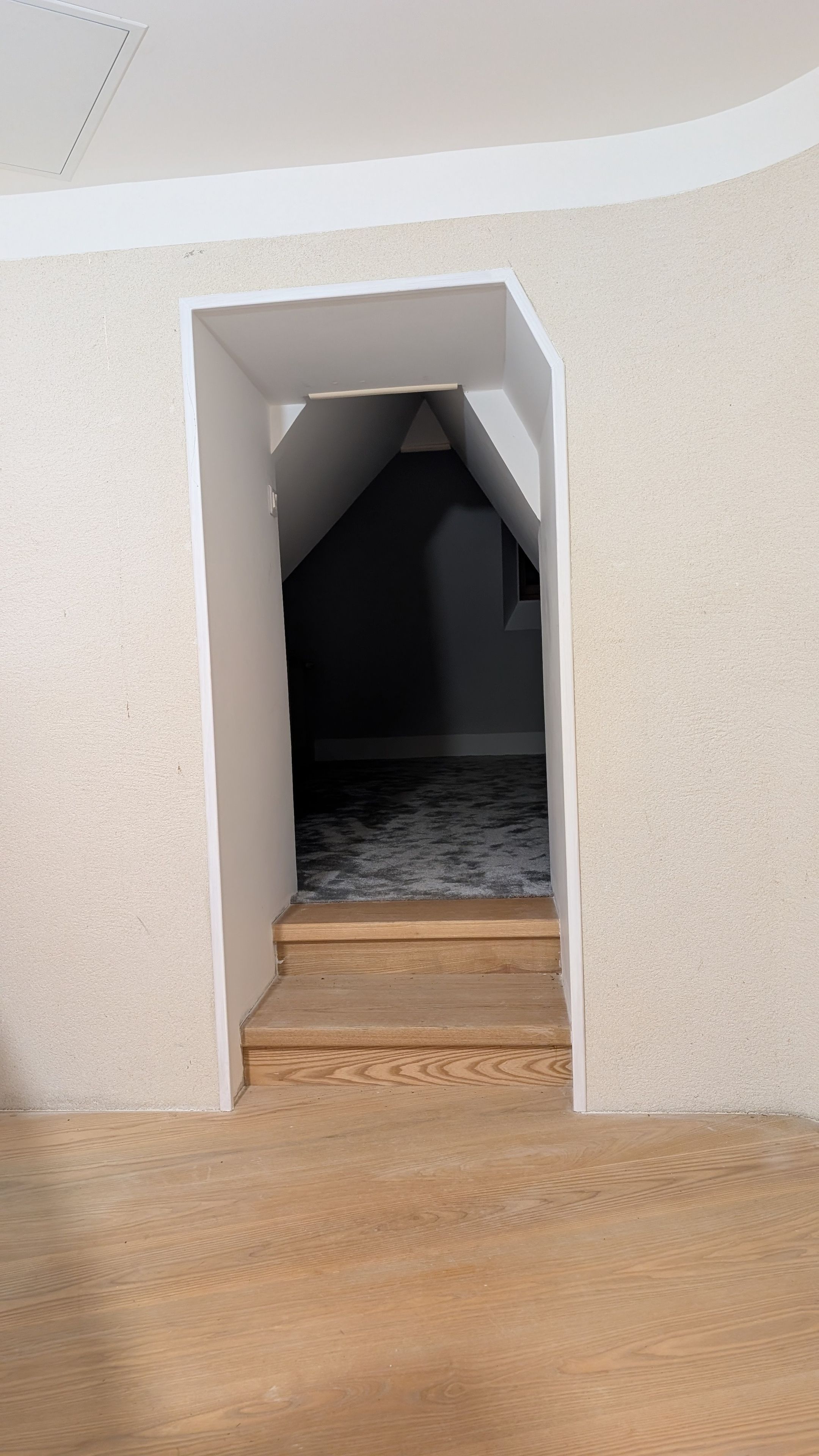 Un escalier étroit mène à une pièce sombre dont le sol est recouvert d’une moquette à motifs.