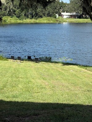 Un lac paisible, avec des chaises disposées face à l’eau, entouré d’herbe et d’arbres.