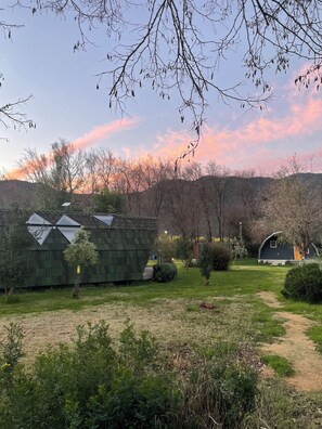 Un paisaje rural con una estructura de techo verde, cielo despejado y un sendero que atraviesa la vegetación.