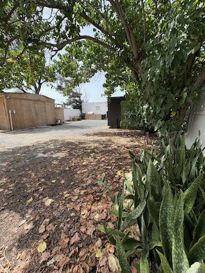 Un espace jardin aménagé avec un chemin de gravier, une clôture en bois et un abri de jardin.