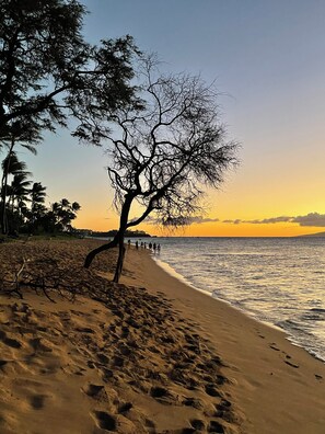 Beach - Westin Ka'anapali Beach Ocean Resort Ocean View One Bedroom Full Kitchen (Lahaina)