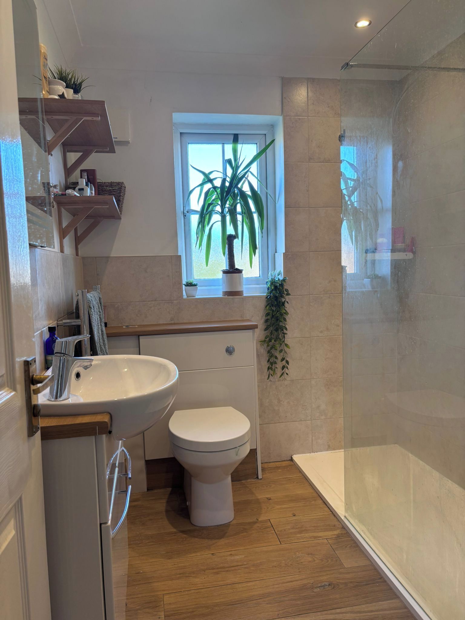 Une salle de bain avec un lavabo, des toilettes et une douche.