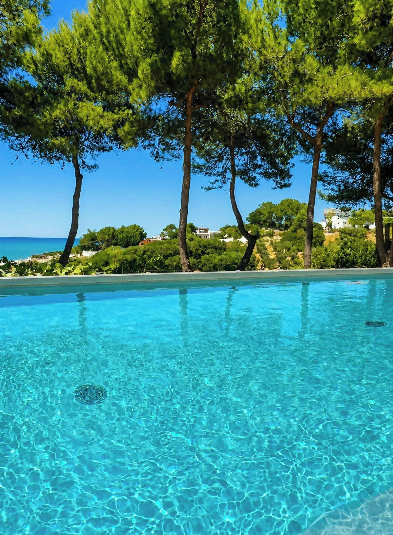 A clear blue pool with a view of the sea and trees in the background.