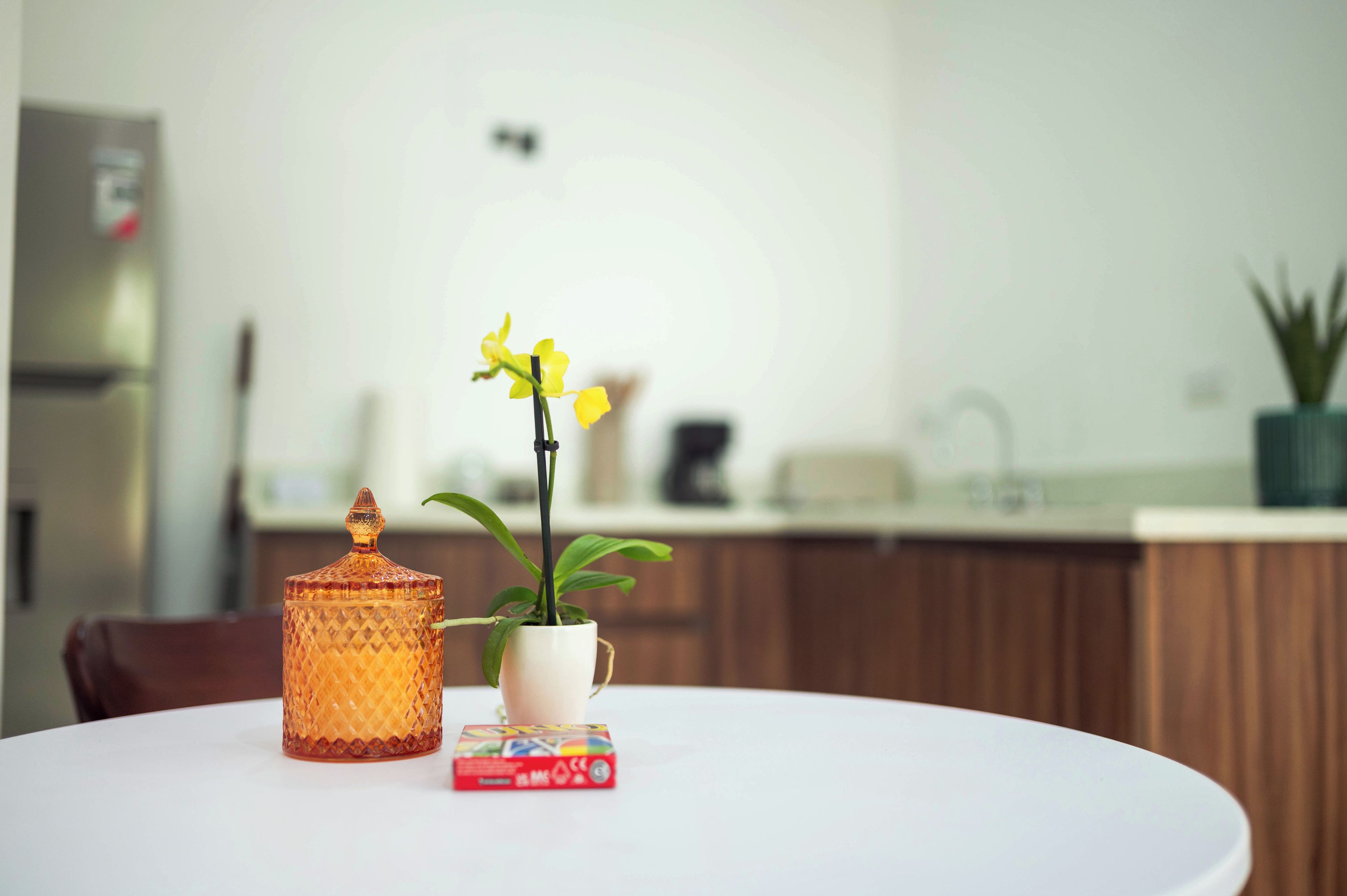 Une table ronde avec un récipient en verre, une plante en pot et un livre.