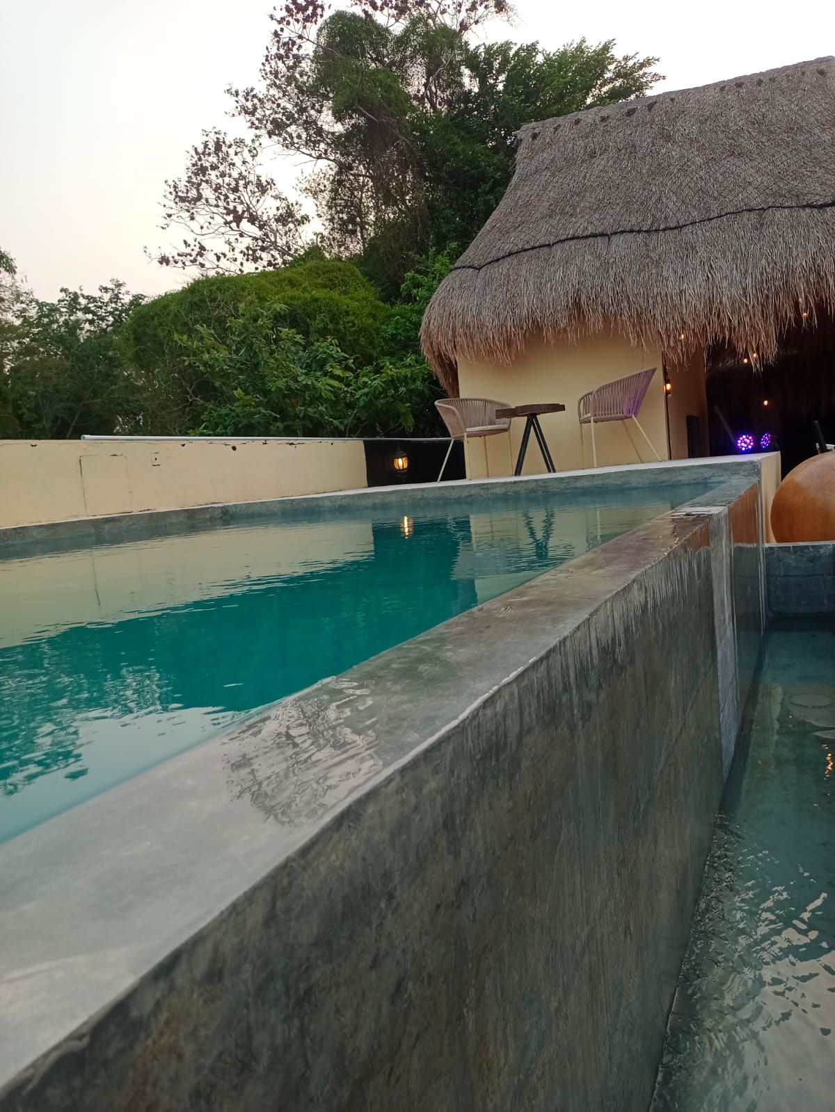 A swimming pool with a thatched-roof structure in the background.