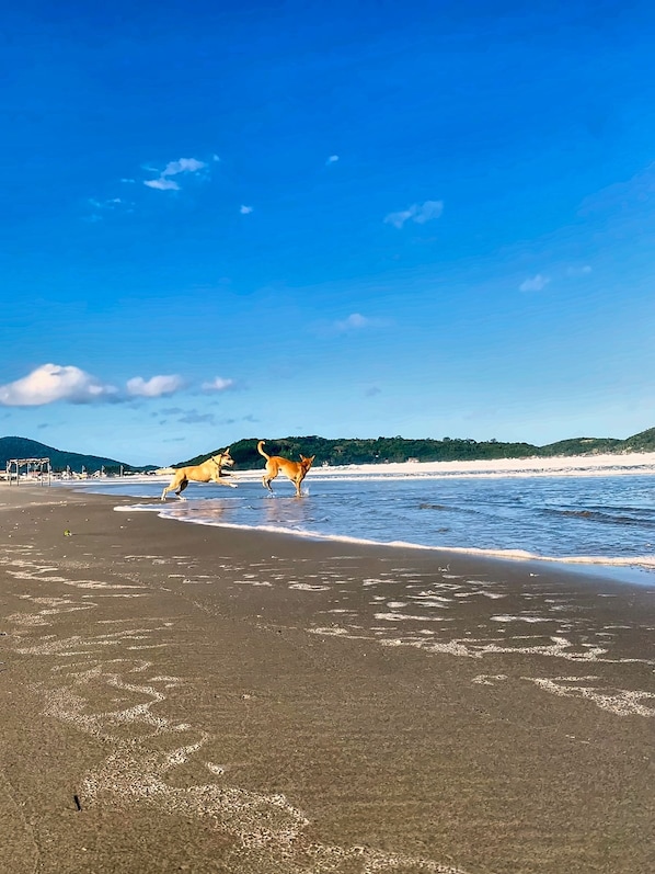 Strand